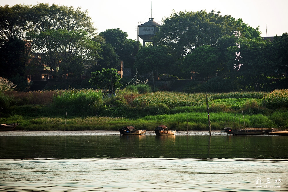 DSC_3891副本2.jpg