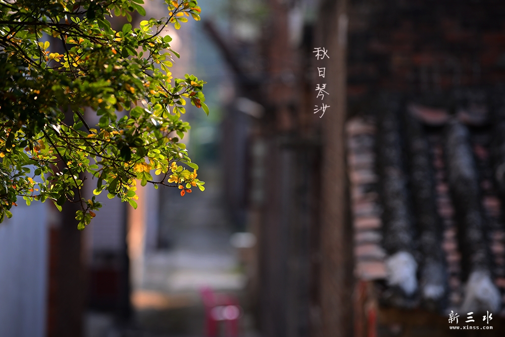 DSC_3915副本2.jpg