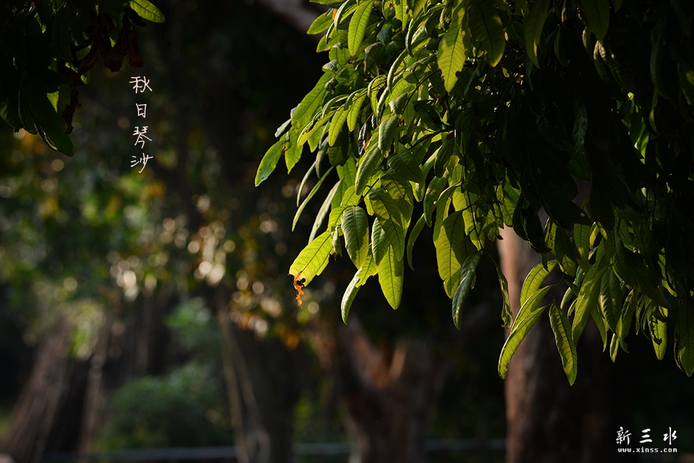 DSC_3918副本2.jpg
