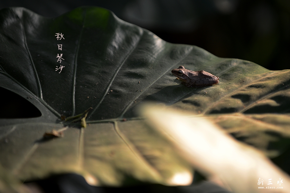 DSC_3928副本2.jpg