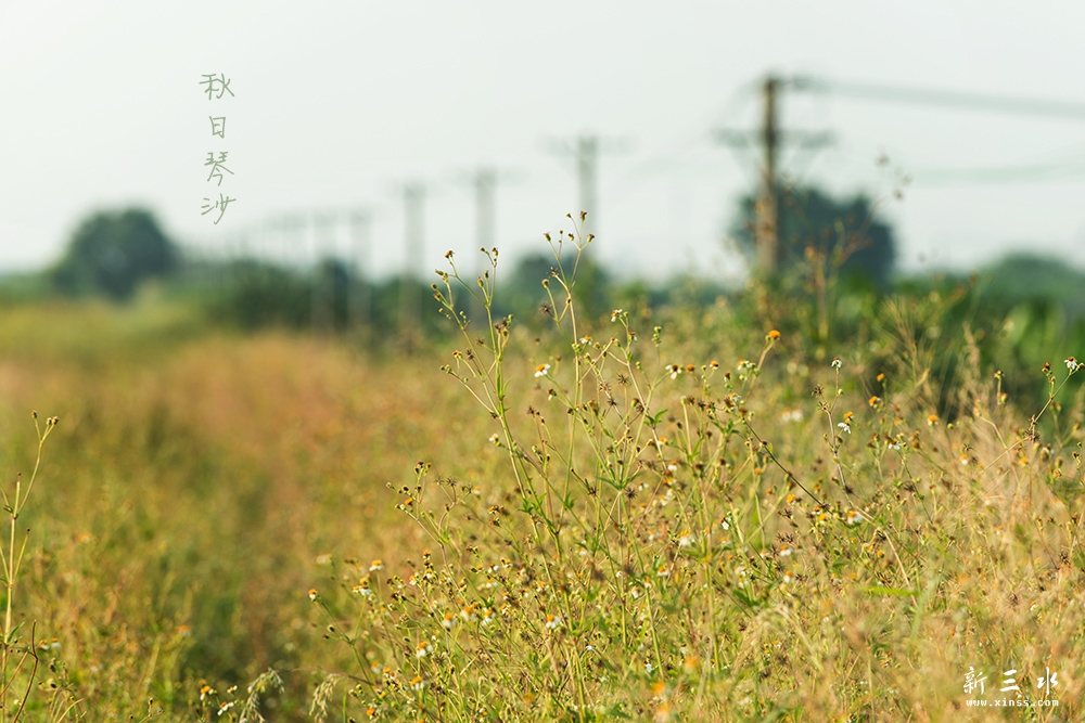 DSC_3985副本2.jpg