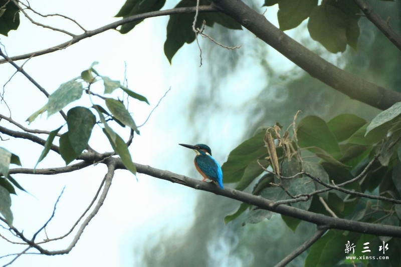 璋冩暣澶у皬 IMG_9924.JPG