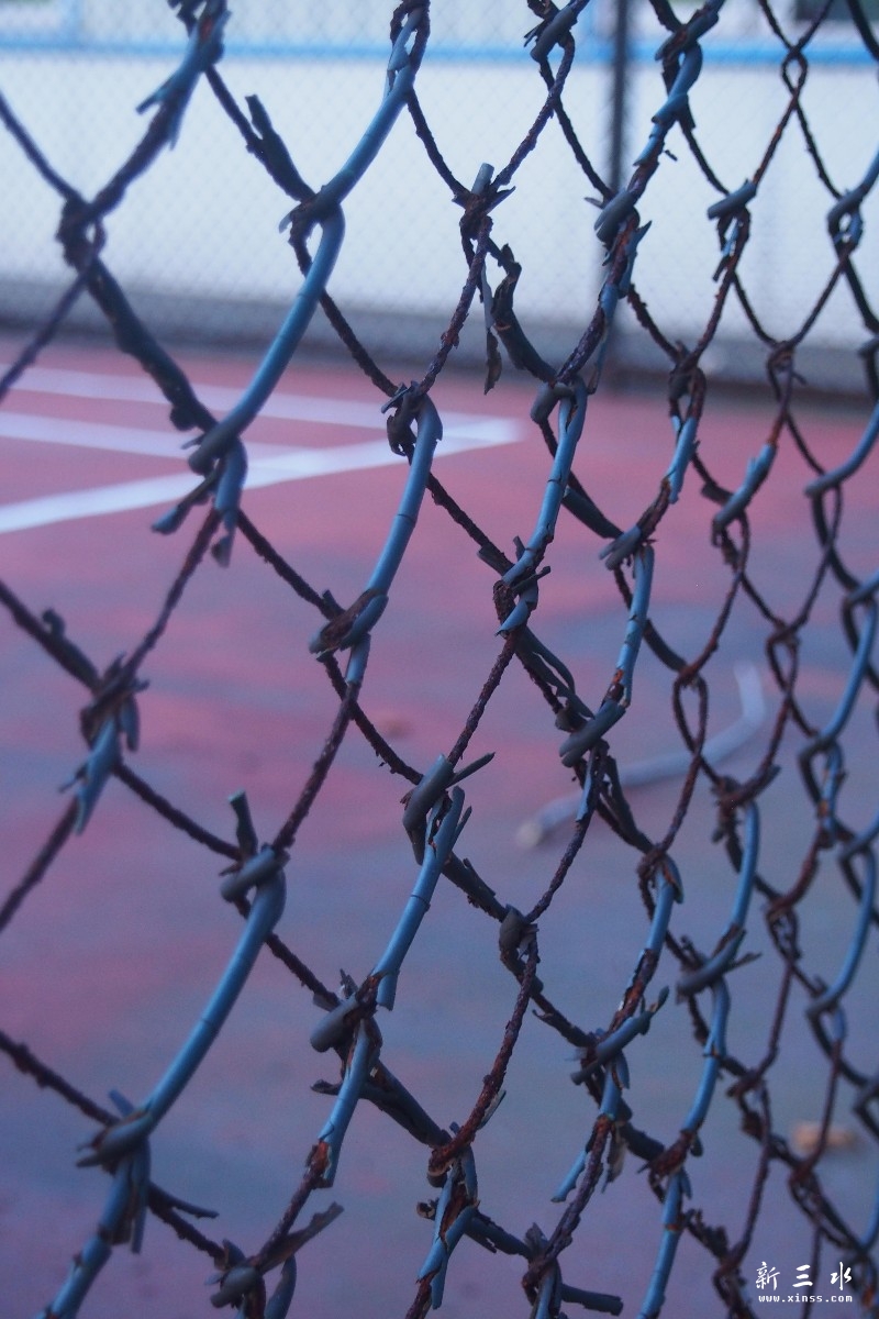 P1012104-1.jpg