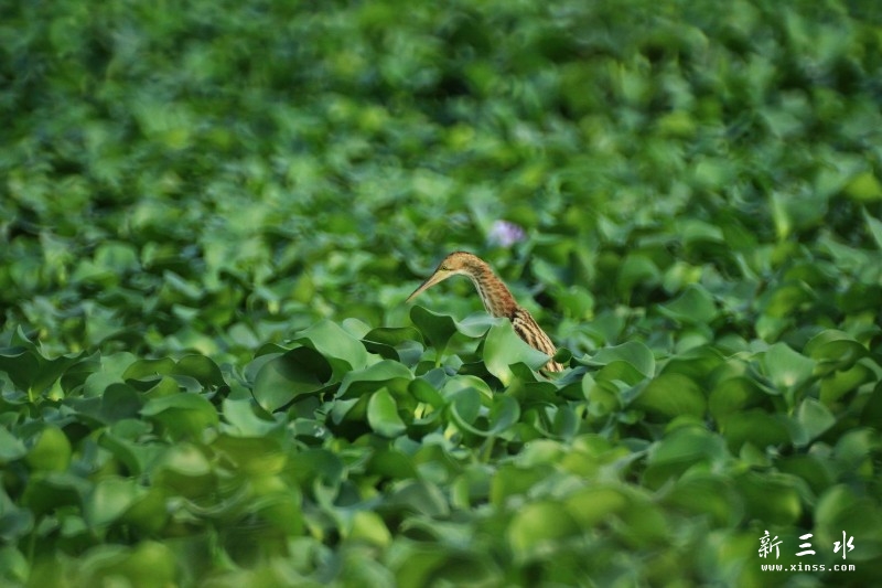 璋冩暣澶у皬 IMG_9959.JPG