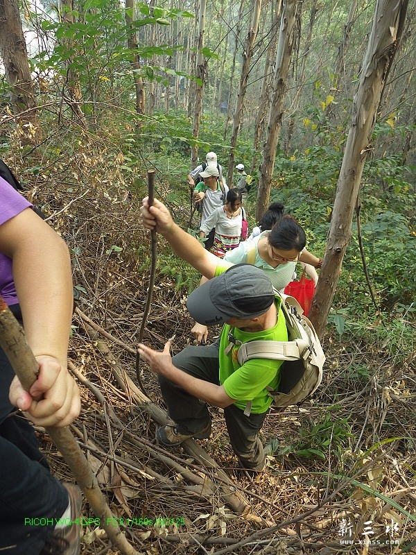 2014-11-01-017.jpg
