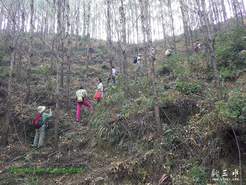 2014-11-01-032.jpg