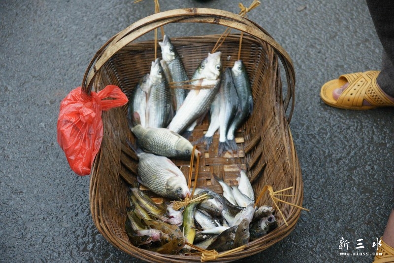 ��ʶ����Щ����?