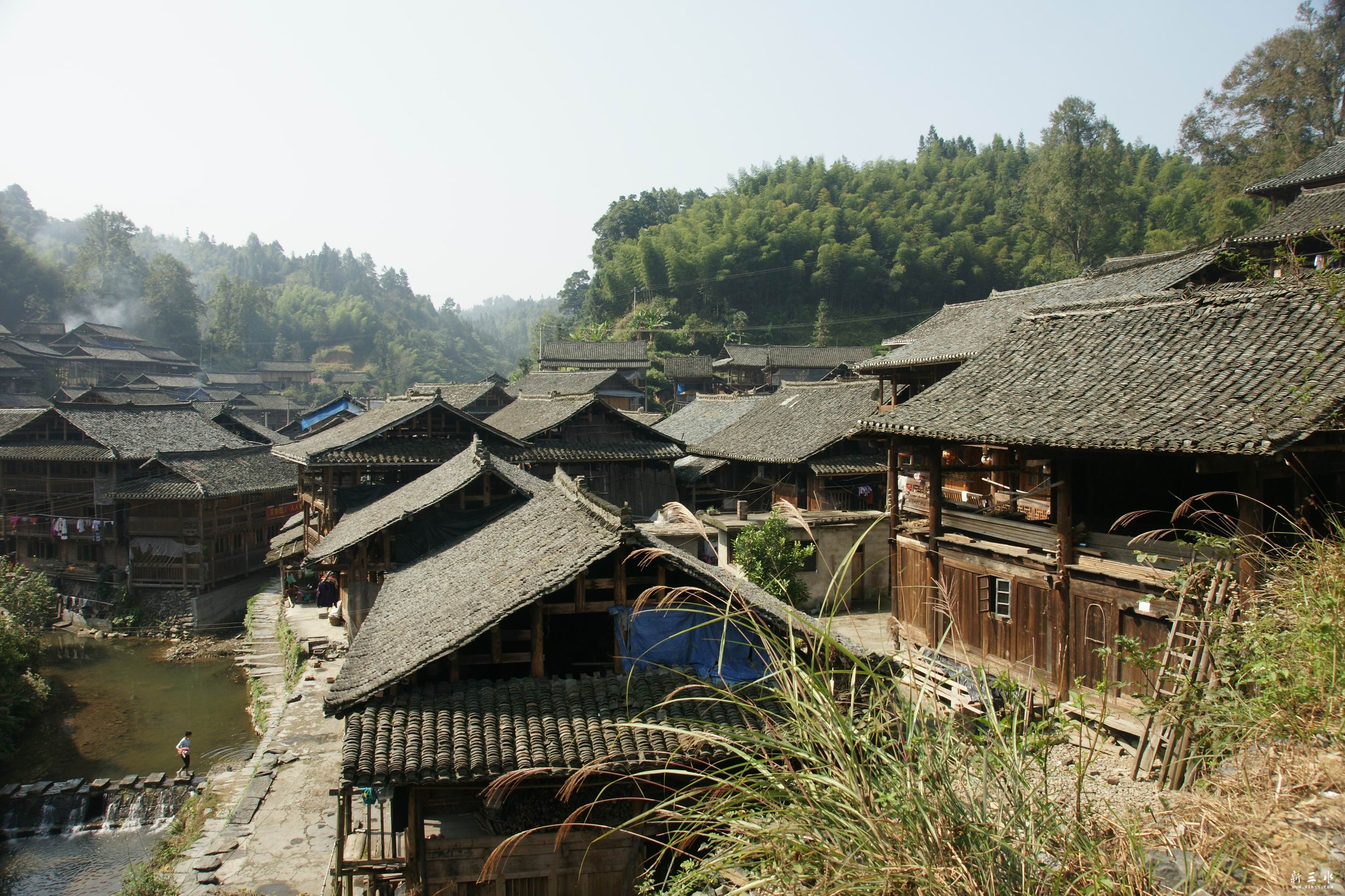 ���կ�ľ�ɫ����