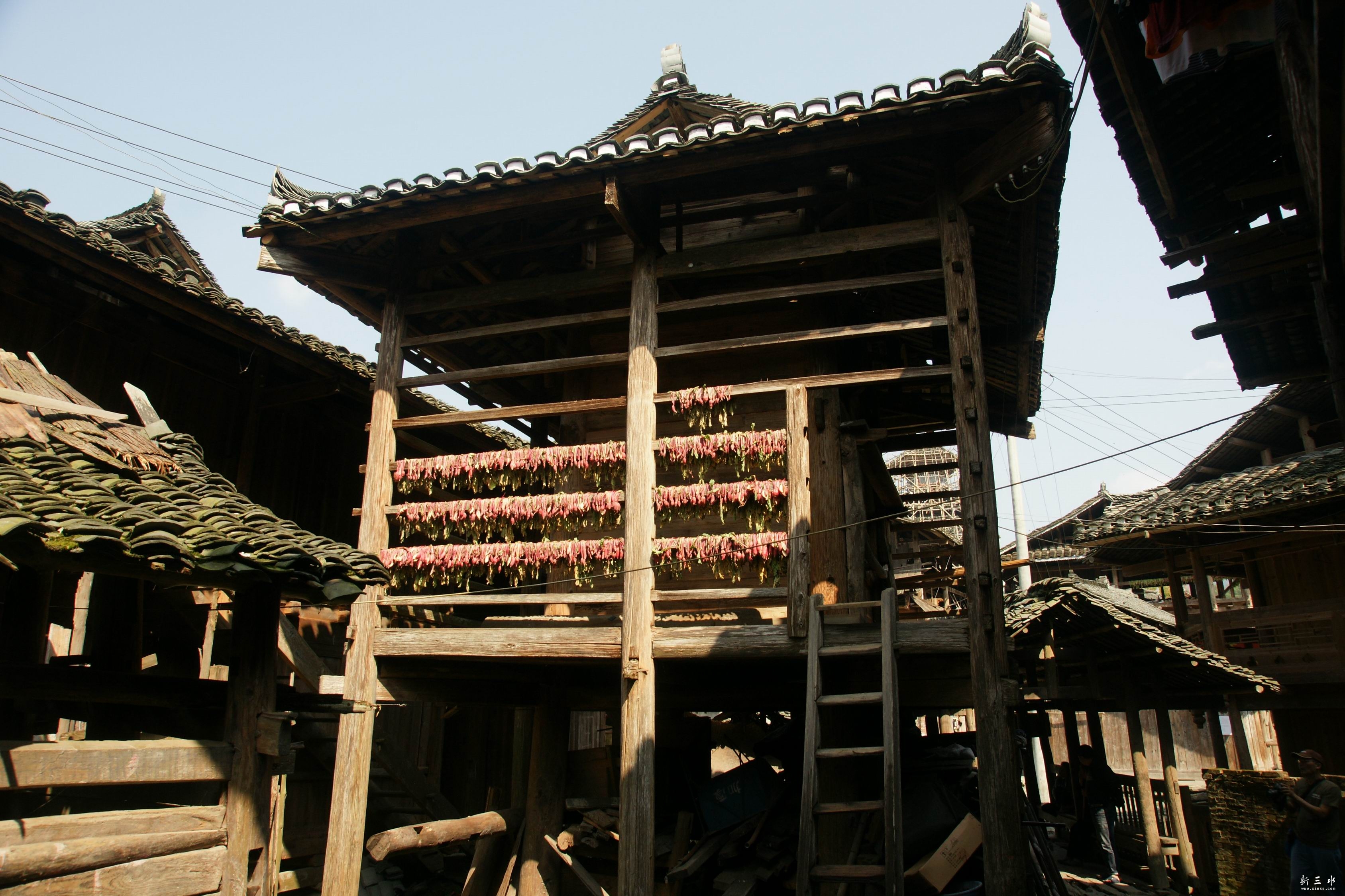 ��������������ľ¥