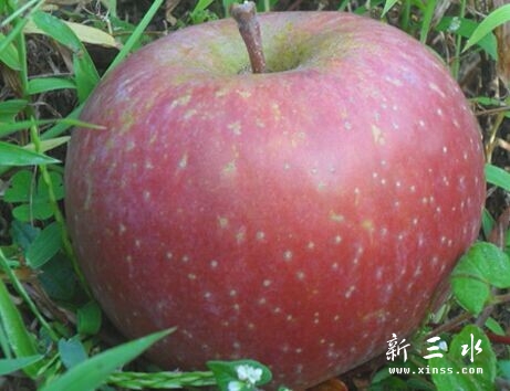 QQ鍥剧墖20141118223840.jpg
