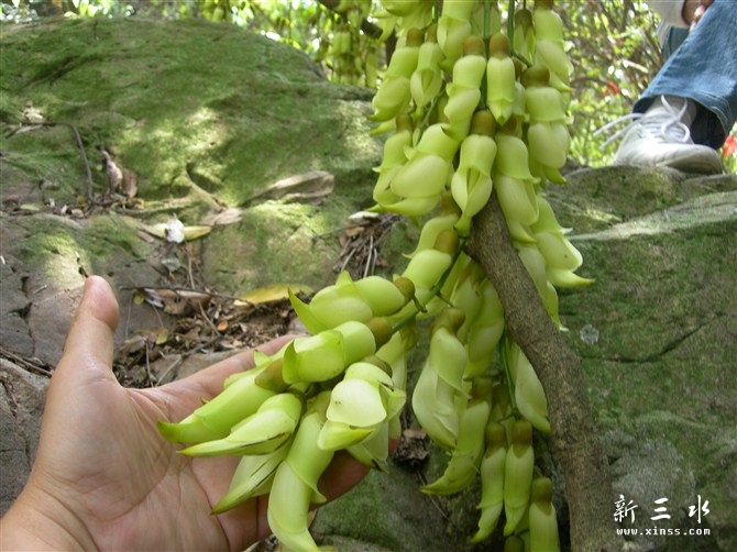 ��ˮ�ŵ���~��ȸ��