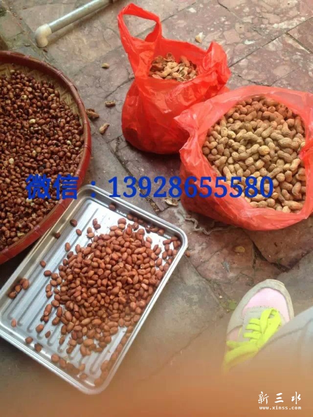 psb (3).jpg