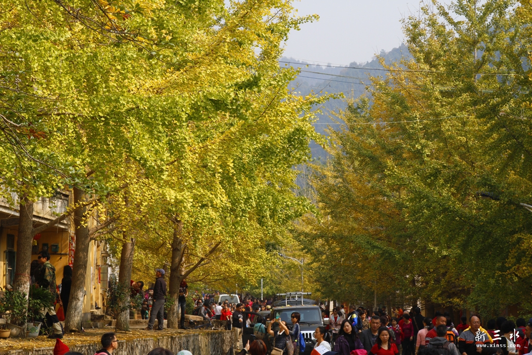 _MG_2635.jpg-1.jpg