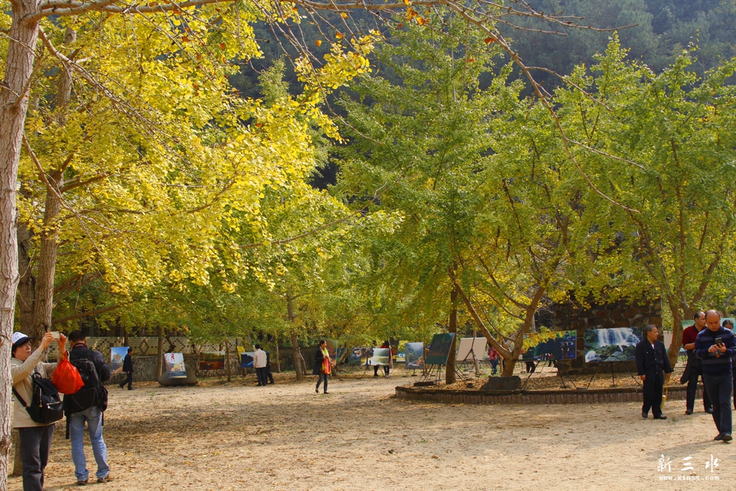 _MG_2648.jpg-1.jpg