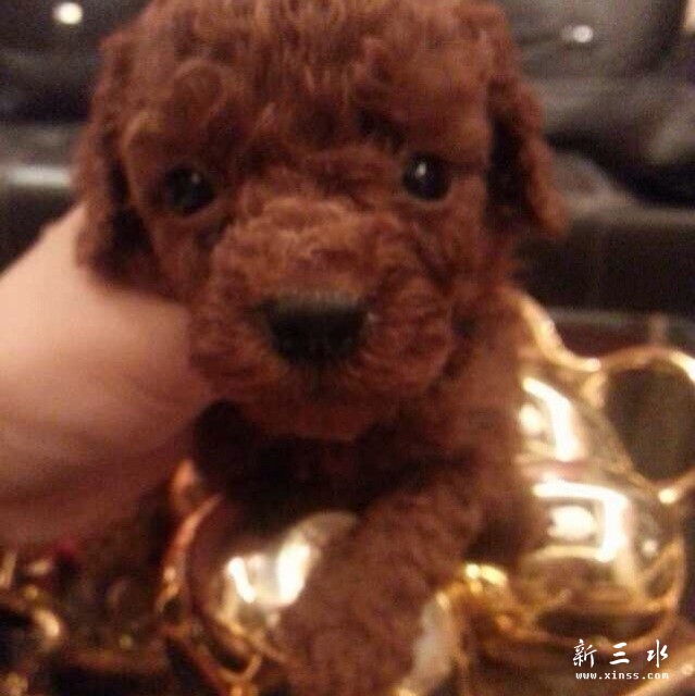 QQ图片20141215011149.jpg