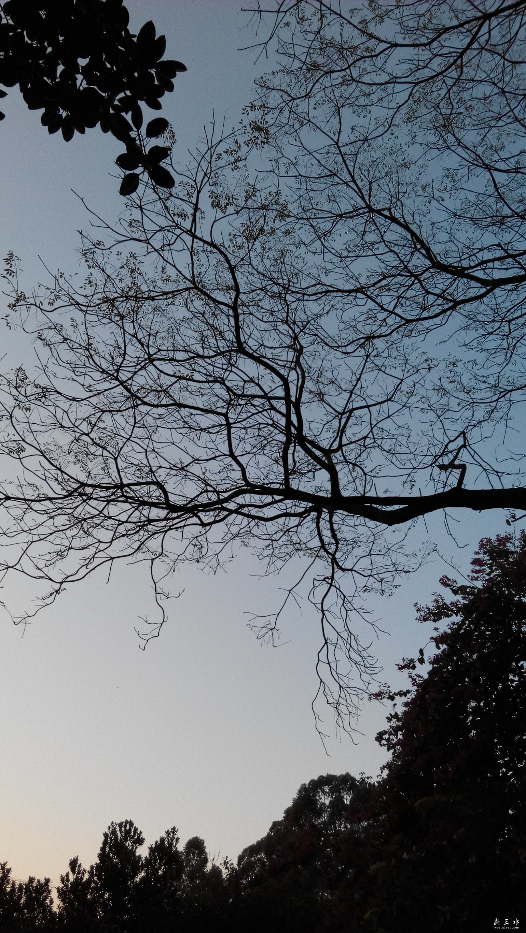 IMG_20141229_173457.jpg