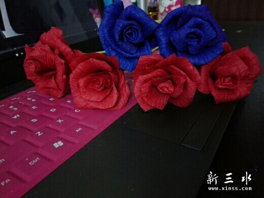 133006z3x57dqf9yqm37py.jpg