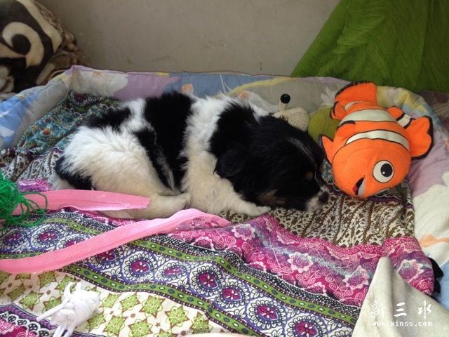 11գķһĵ̽ӷģںܺãϰ廰ϵסҹ