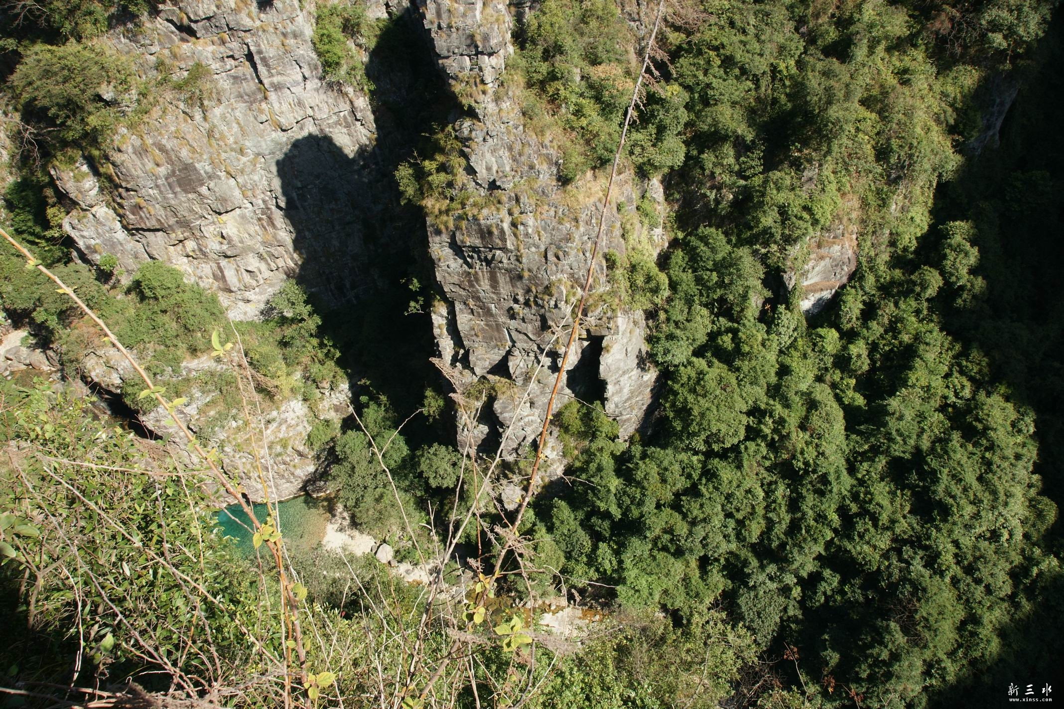 ������������Ů̶