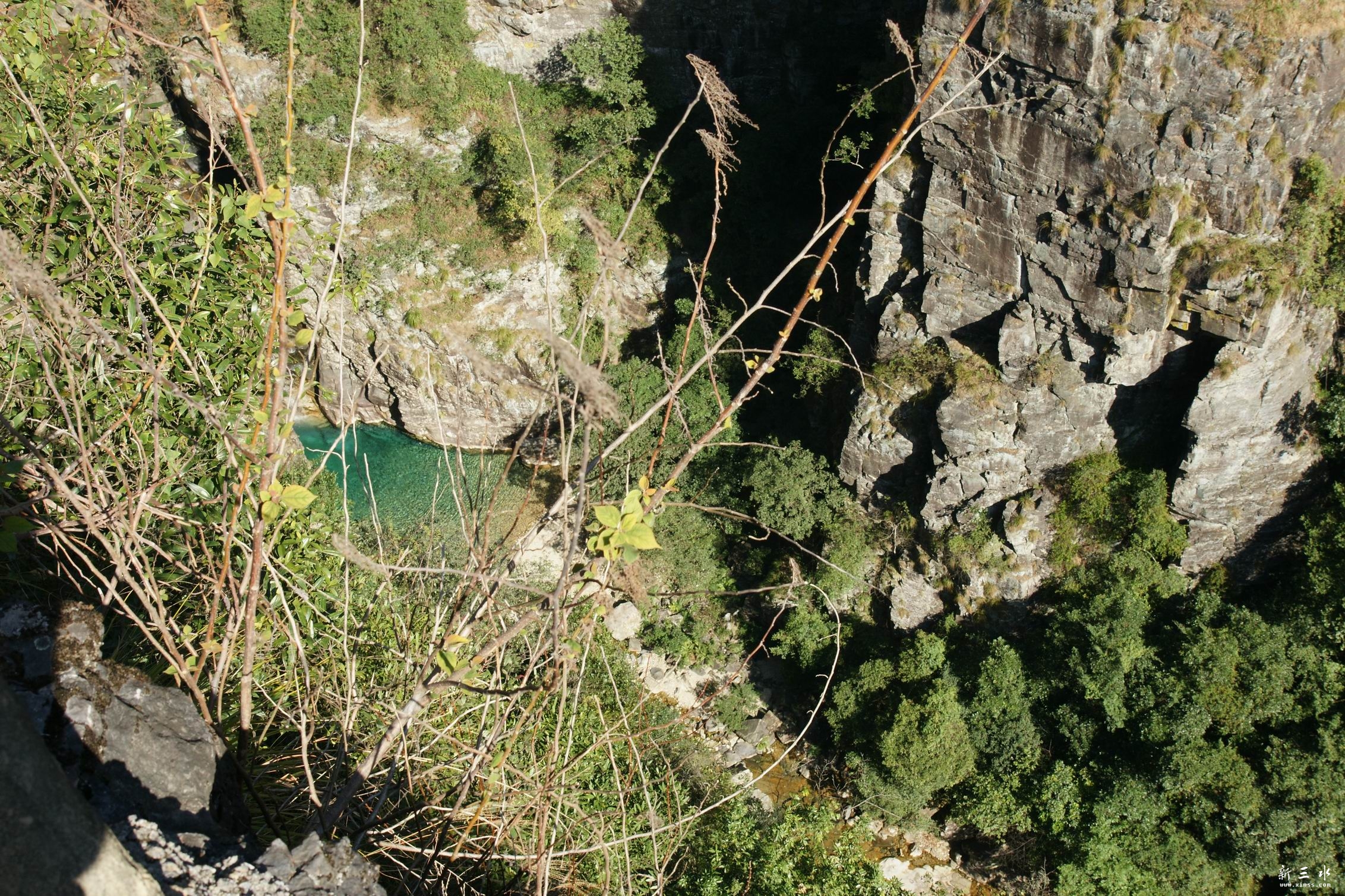 ���̵���Ů̶