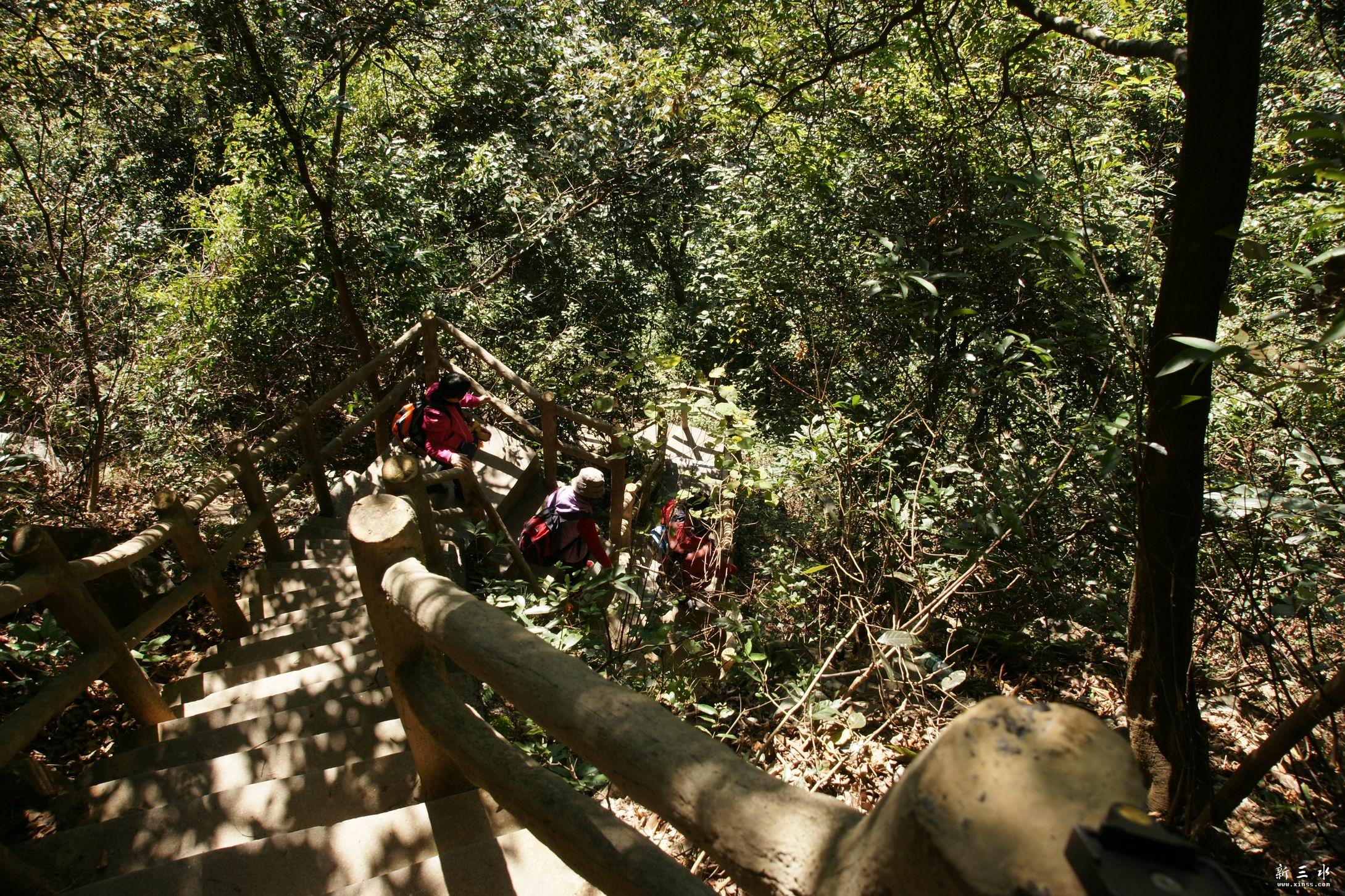 �����ڶ��͵�ɽ·��