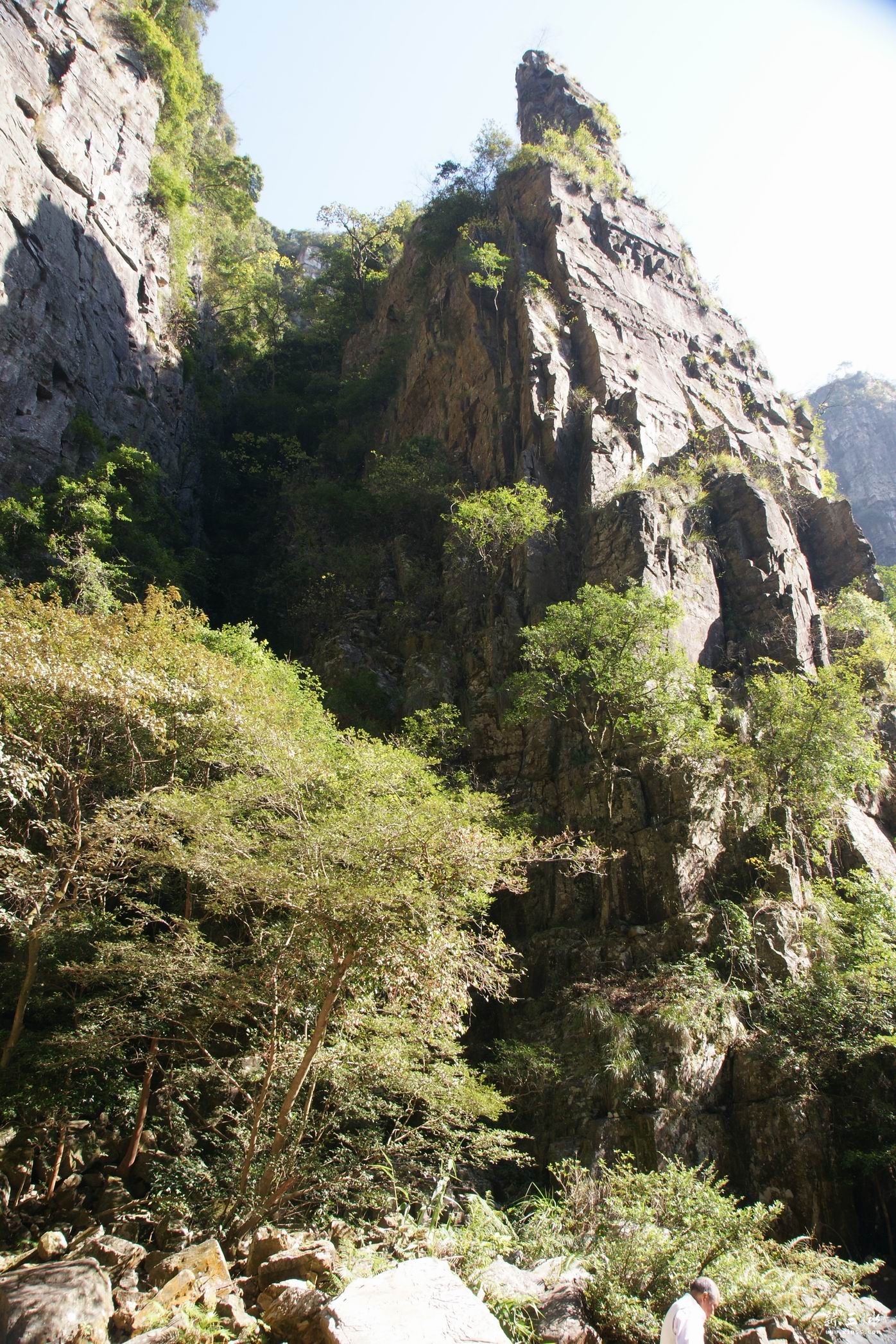 ��ת DSC02264.JPG