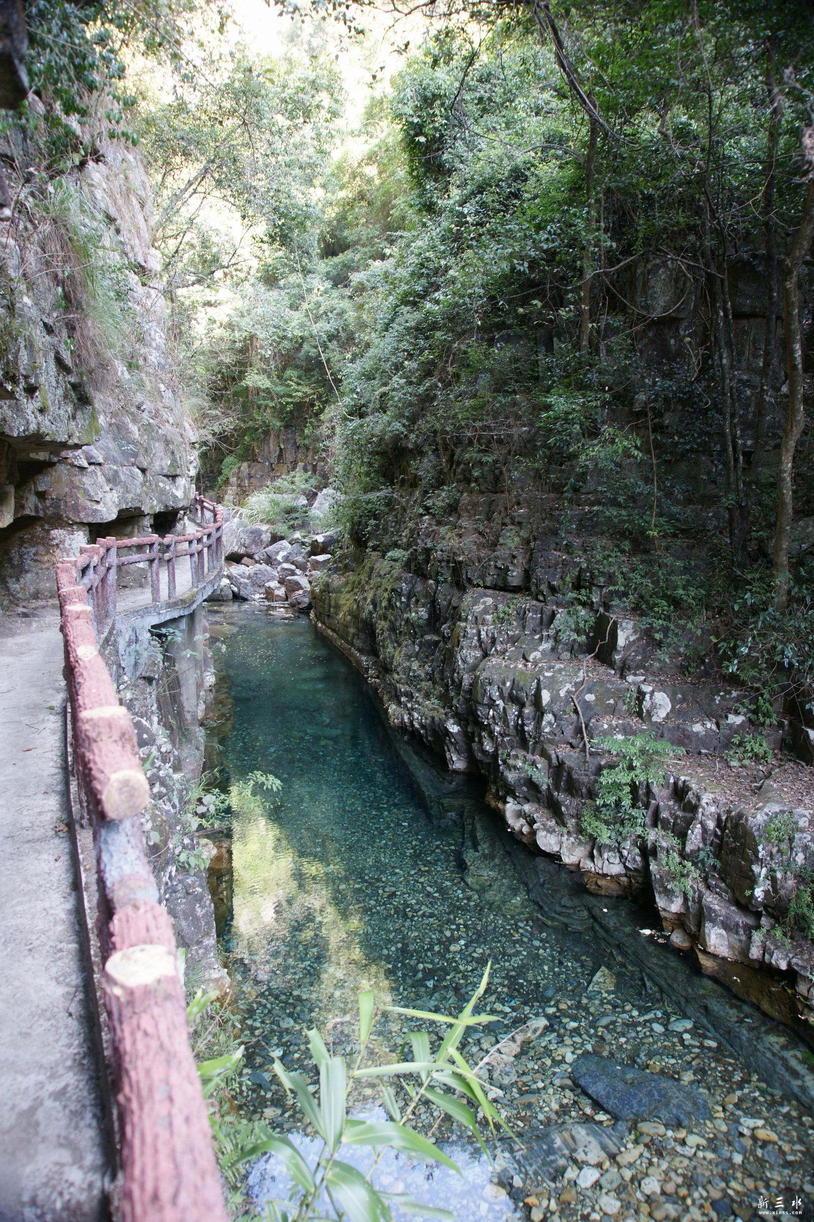 ��ת DSC02303.JPG