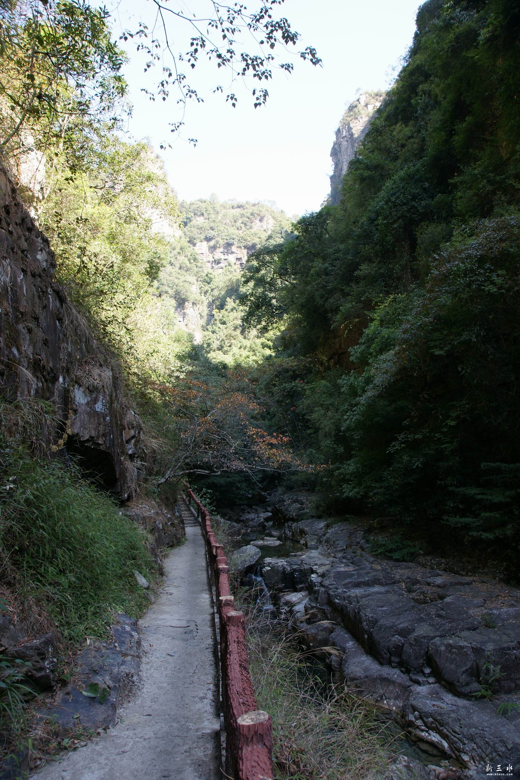 ��ת DSC02305.JPG