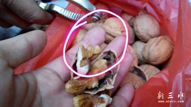 233256dq1i7p6qj8tnnxmn.jpg.thumb.jpg