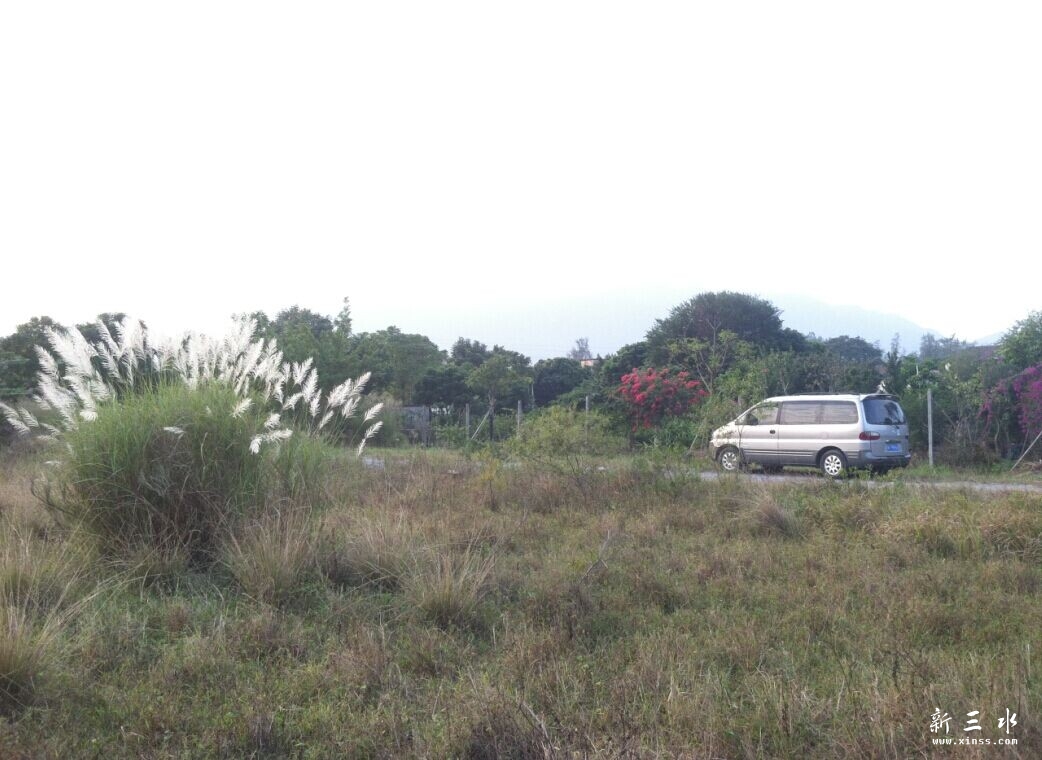 QQ图片20141114201153.jpg