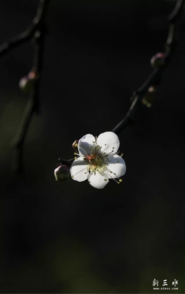 P7.jpg