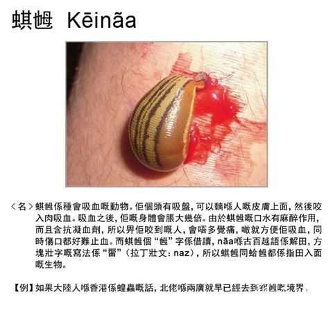 蜞乸