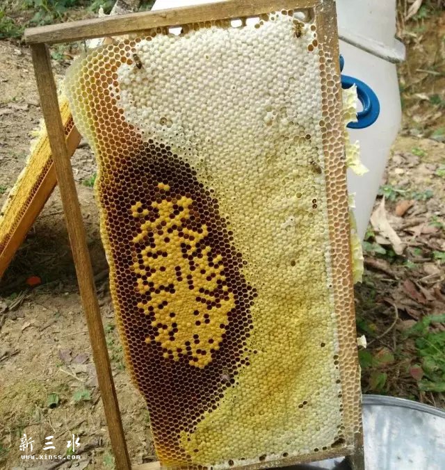 psb[3].jpg