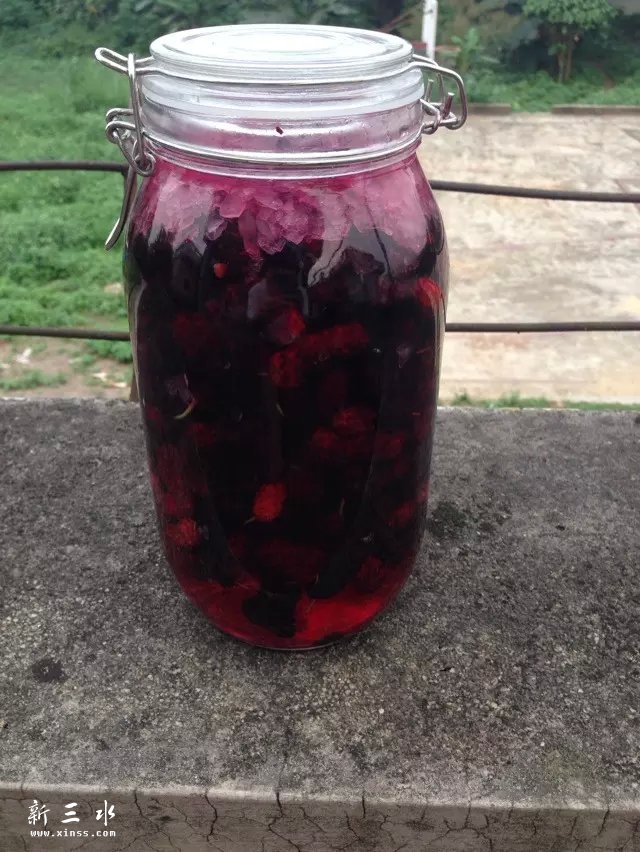 桑果酒