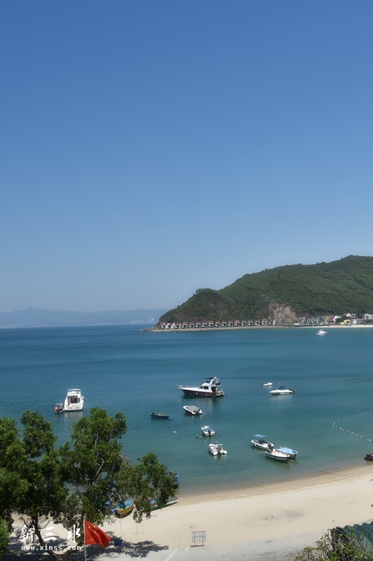A2 482_鍓?湰.jpg