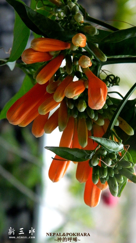 ��ջ��̨��СϢһ��