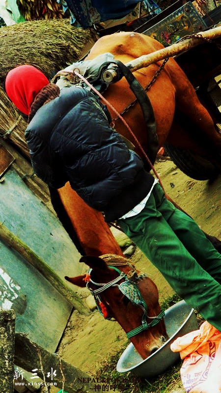 ������ʪ�ع�԰