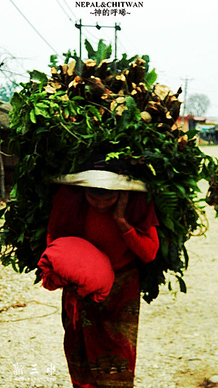 ������ʪ�ع�԰