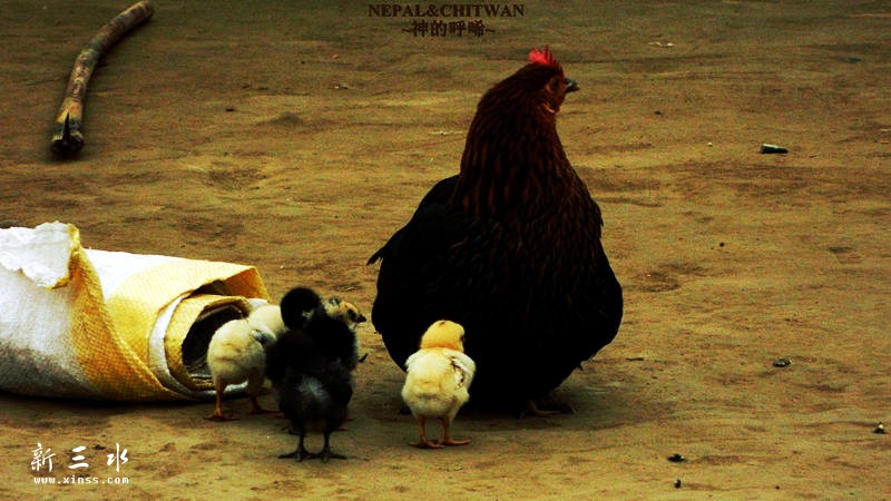 ������ʪ�ع�԰