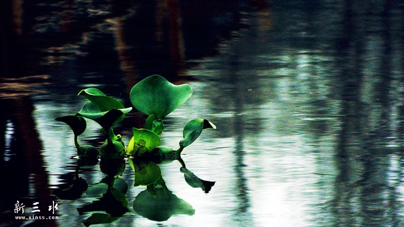 ������ʪ�ع�԰