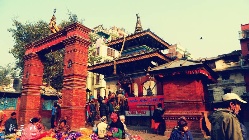 �ӵ������ĶŰ͹㳡