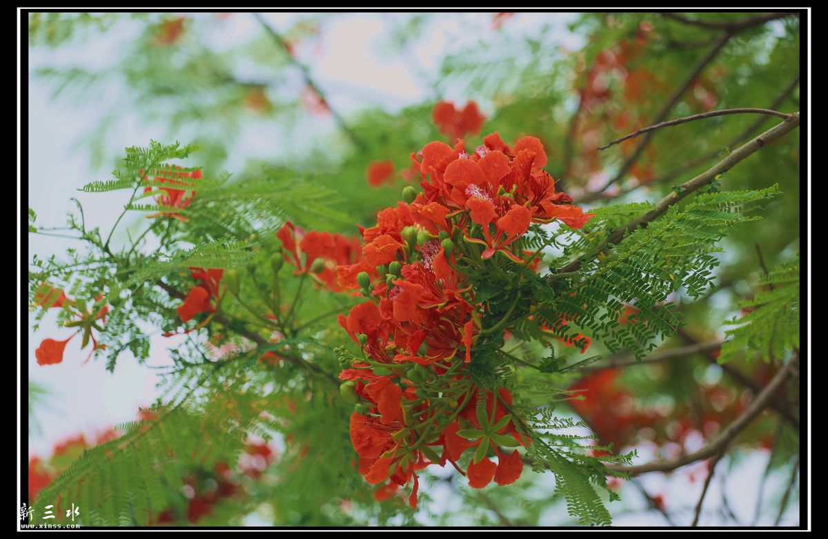 0W7A0957.JPG