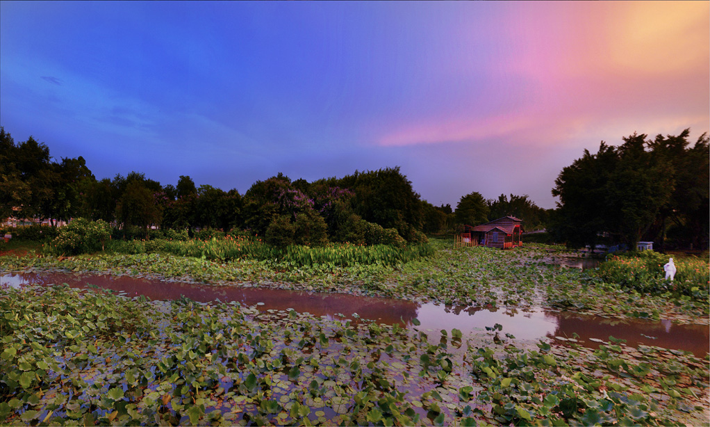 DSC_1941.jpg