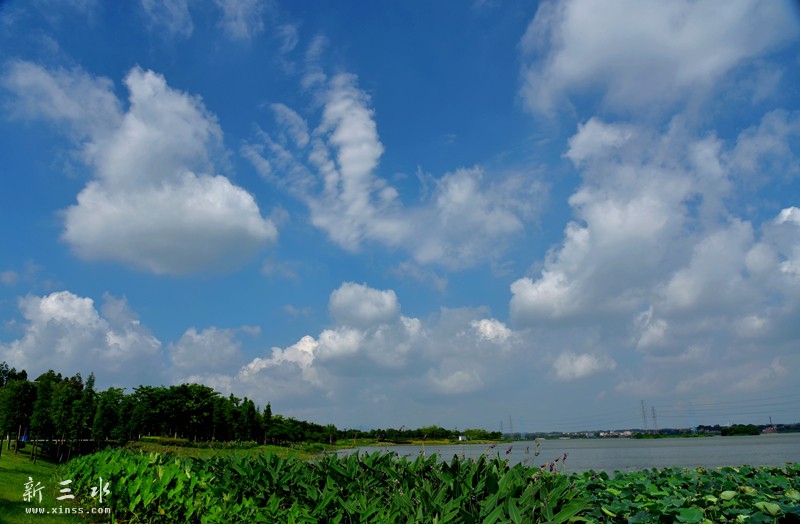A4 167_鍓?湰.jpg