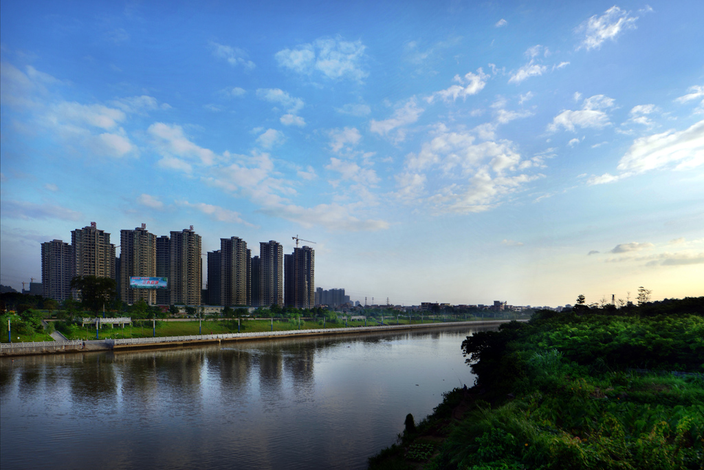 DSC_8774.jpg