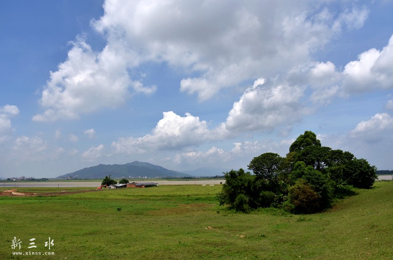 A4 477_鍓?湰.jpg