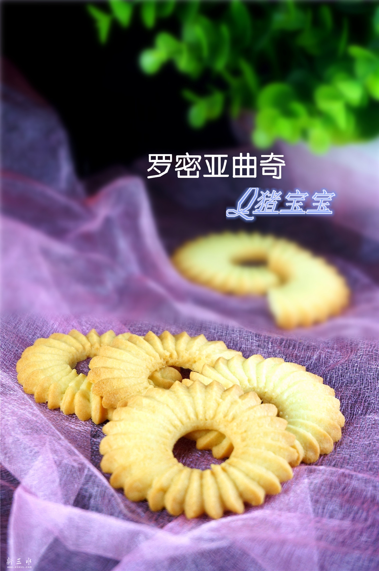 罗密亚曲奇.jpg