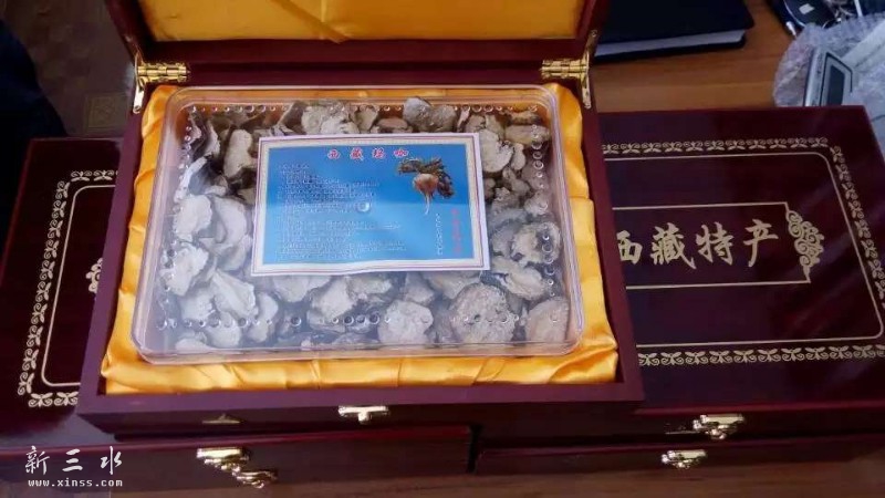 ���˵ļ���վ�������꿧