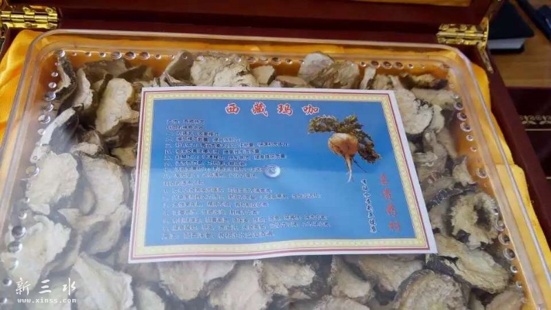 ���˵ļ���վ�������꿧