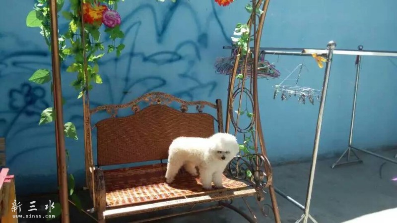 �͵��С�� 13